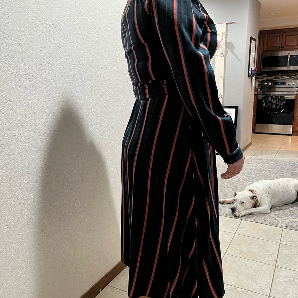Striped Button-Up Dress - Picture 3 of 12